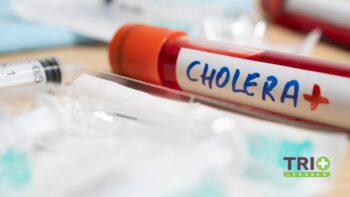 Skúmavka s krvou označená 'CHOLERA+', symbolizujúca pozitívny test na choleru.