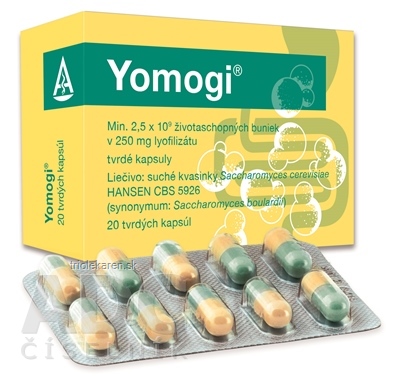 Yomogi cps dur 250 mg (blis.PVC/PE/PVDC/Al) 1x20 ks