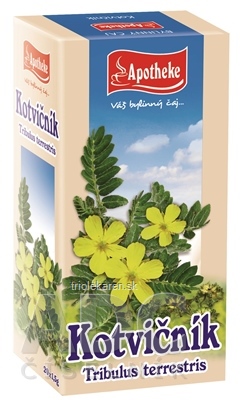 APOTHEKE Kotvičník zemný záparové vrecká 20x1,5 g (30 g)