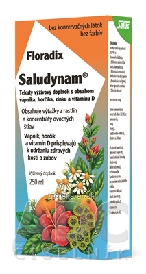 SALUS Floradix Saludynam tekutá forma 250 ml