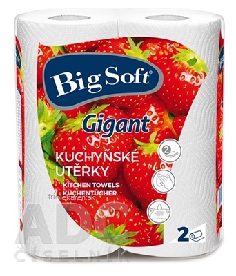 Big Soft Gigant Papierové kuchynské utierky kotúče 1x2 ks